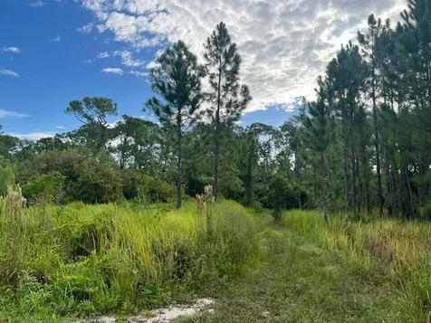 1137 Greenfield Street Lake Placid FL 33852