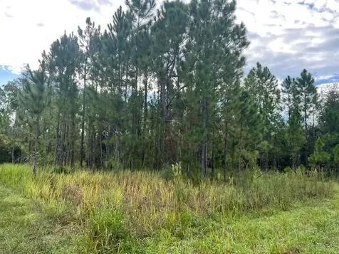 1137 Greenfield Street Lake Placid FL 33852