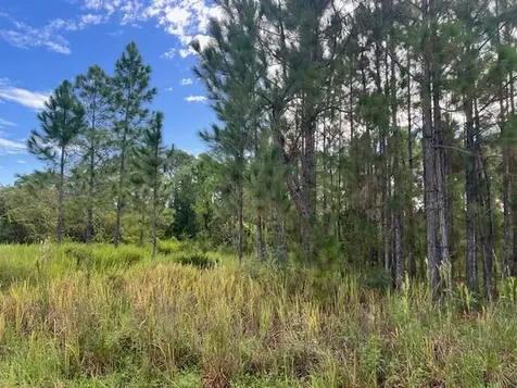 1137 Greenfield Street Lake Placid FL 33852