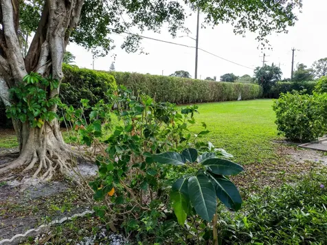 5020 Petal Place Delray Beach FL 33484
