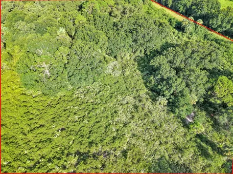 100 NW 38th Avenue Okeechobee FL 34972