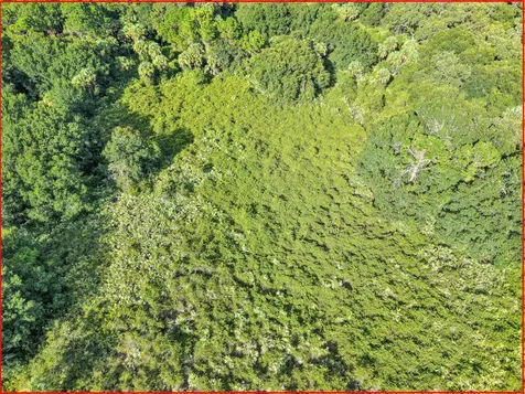 100 NW 38th Avenue Okeechobee FL 34972