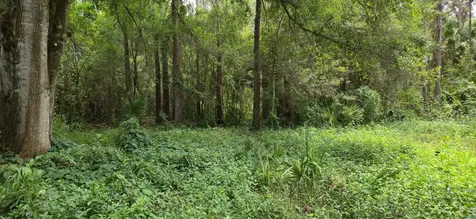 100 NW 38th Avenue Okeechobee FL 34972