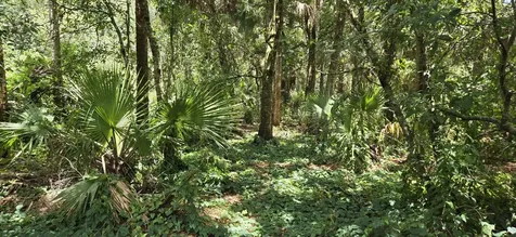 100 NW 38th Avenue Okeechobee FL 34972