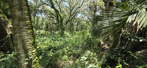 100 NW 38th Avenue Okeechobee FL 34972
