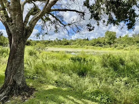 1468 Sw Greens Pointe Way Palm City FL 34990