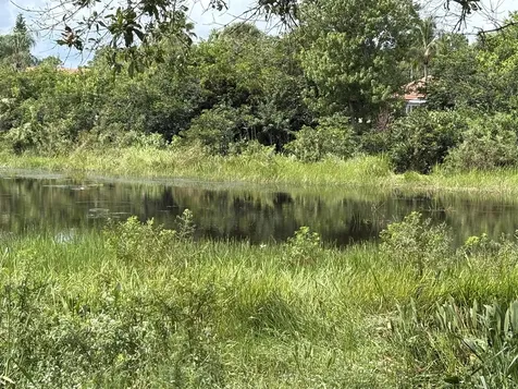 1468 Sw Greens Pointe Way Palm City FL 34990