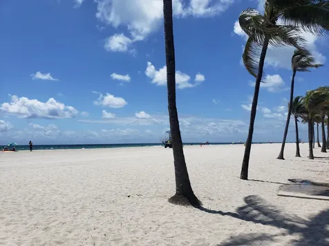 339 Virginia Street Hollywood FL 33019