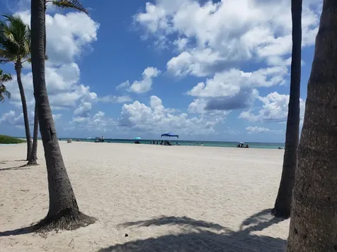 339 Virginia Street Hollywood FL 33019