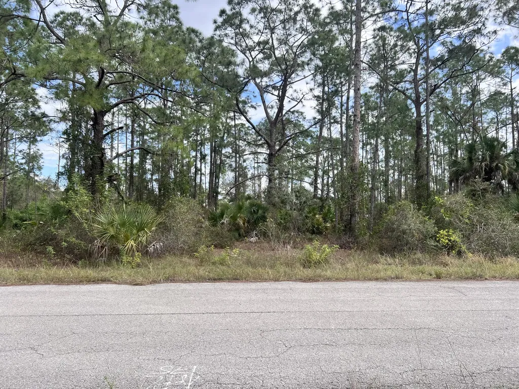 1610 Desoto Avenue Lehigh Acres FL 33972