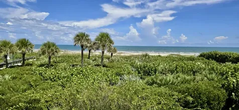 615 Ocean Park Lane Cape Canaveral FL 32920