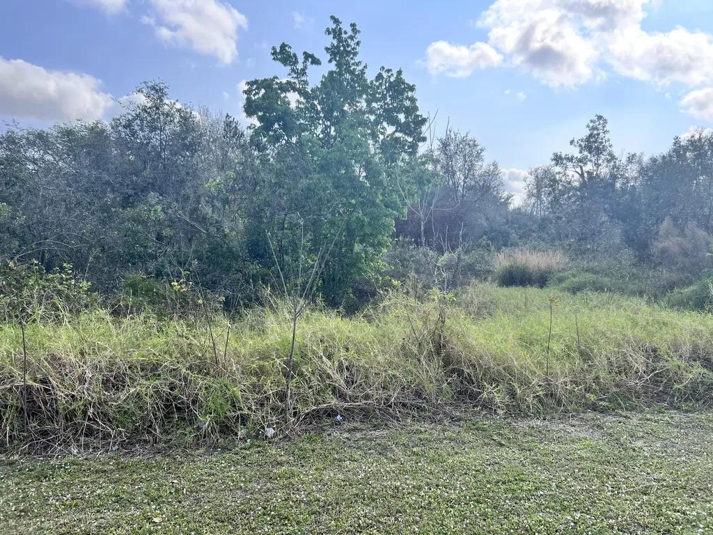 13528 Hull Street Sebring FL 33875