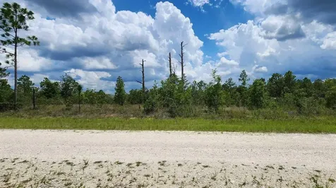 - Scissorbill Avenue Brooksville FL 34614