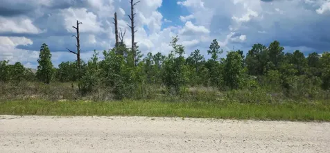 - Scissorbill Avenue Brooksville FL 34614