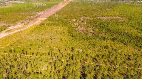 0000 NE 125th Avenue Fort McCoy FL 32134