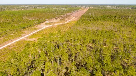 0000 NE 125th Avenue Fort McCoy FL 32134