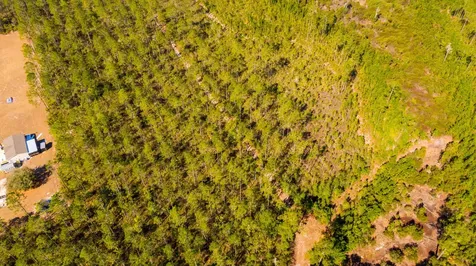 0000 NE 125th Avenue Fort McCoy FL 32134