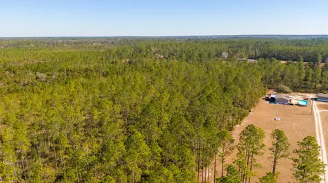 0000 NE 125th Avenue Fort McCoy FL 32134