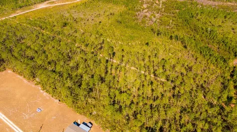 0000 NE 125th Avenue Fort McCoy FL 32134