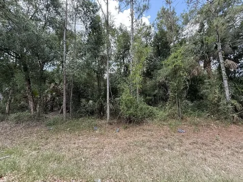 15501 Whitehall Avenue Port Charlotte FL 33953