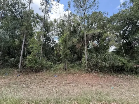 15501 Whitehall Avenue Port Charlotte FL 33953