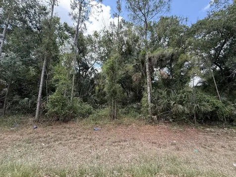 15501 Whitehall Avenue Port Charlotte FL 33953