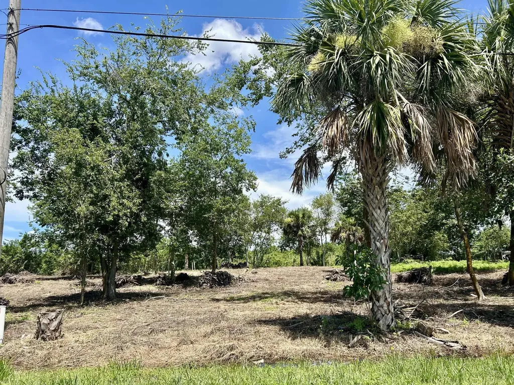 1170 Foxmoor Street Moore Haven FL 33471