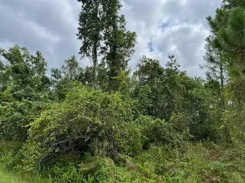 1123 Greenfield Street Lake Placid FL 33852