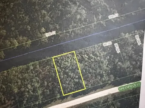 1123 Greenfield Street Lake Placid FL 33852