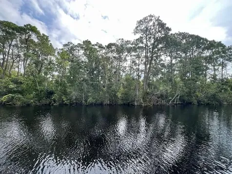 1123 Greenfield Street Lake Placid FL 33852