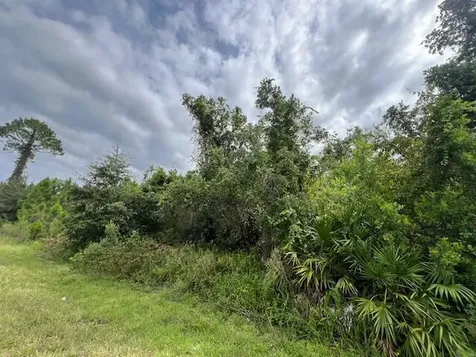1123 Greenfield Street Lake Placid FL 33852