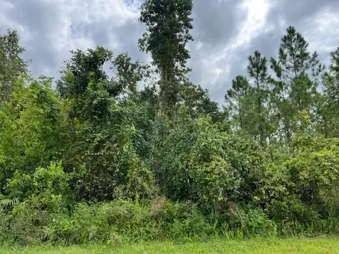 1123 Greenfield Street Lake Placid FL 33852