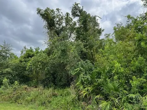 1123 Greenfield Street Lake Placid FL 33852