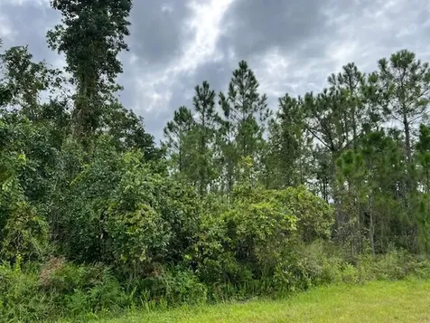 1123 Greenfield Street Lake Placid FL 33852
