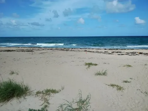 5500 Old Ocean Boulevard Ocean Ridge FL 33435