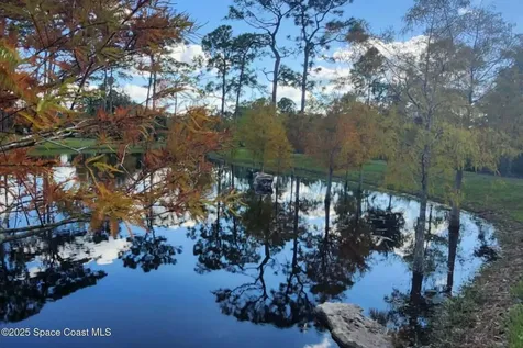 7330 Crabgrass Road St. Cloud FL 34773