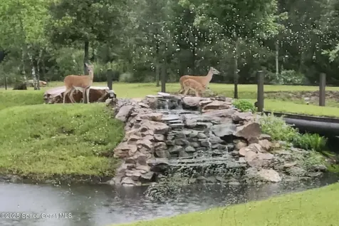 7330 Crabgrass Road St. Cloud FL 34773