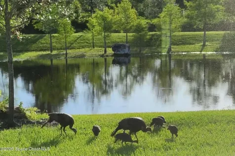 7330 Crabgrass Road St. Cloud FL 34773