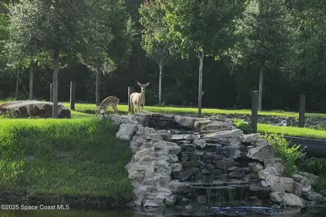 7330 Crabgrass Road St. Cloud FL 34773