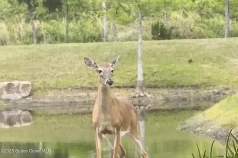 7330 Crabgrass Road St. Cloud FL 34773