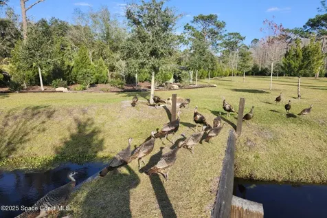 7330 Crabgrass Road St. Cloud FL 34773