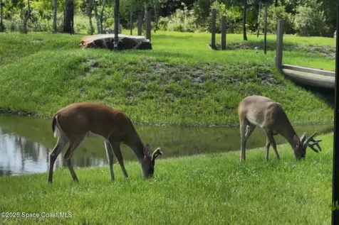 7330 Crabgrass Road St. Cloud FL 34773