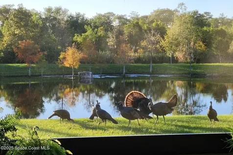 7330 Crabgrass Road St. Cloud FL 34773