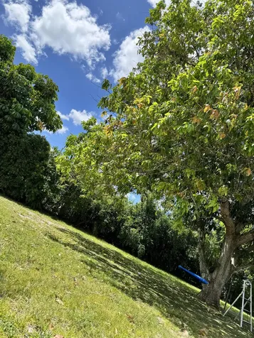 4320 Nw 107th Avenue Coral Springs FL 33065