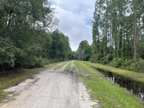 117 Mosswood Street Georgetown FL 32139