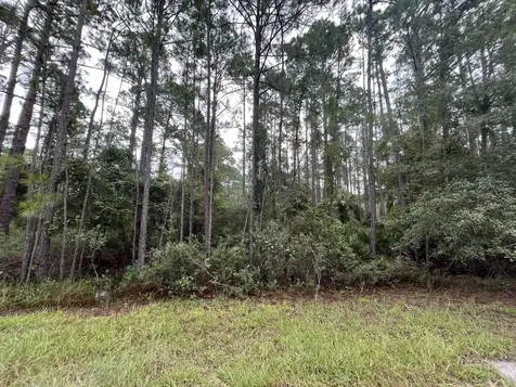 117 Mosswood Street Georgetown FL 32139