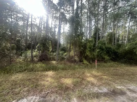 107 Pine Avenue Georgetown FL 32139