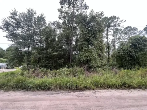 0 Hickory Nut Trail Satsuma FL 32189