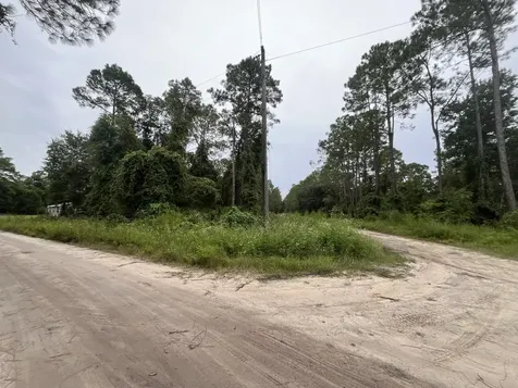 0 Hickory Nut Trail Satsuma FL 32189
