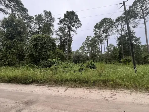 0 Hickory Nut Trail Satsuma FL 32189